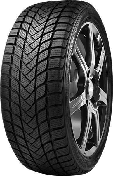 Delinte WD6 205/55 R17 95 H