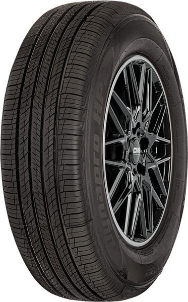 Hankook RA33 255/65 R17 110 H