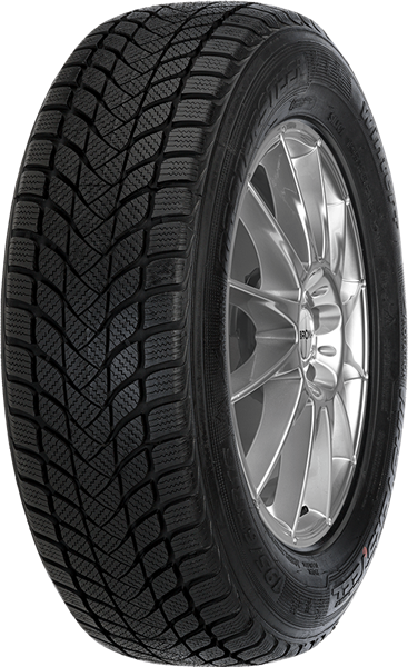 Mastersteel WINTER + W1 195/55 R15 85 H