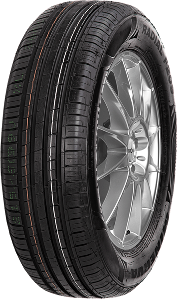 Minerva F209 205/60 R16 96 V XL