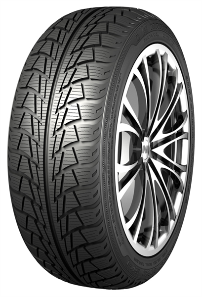Nankang Snow Viva 205/50 R16 87 H Soft Compound