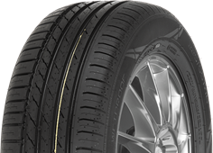 Nokian Tyres Wetproof 205/55 R16 91 V