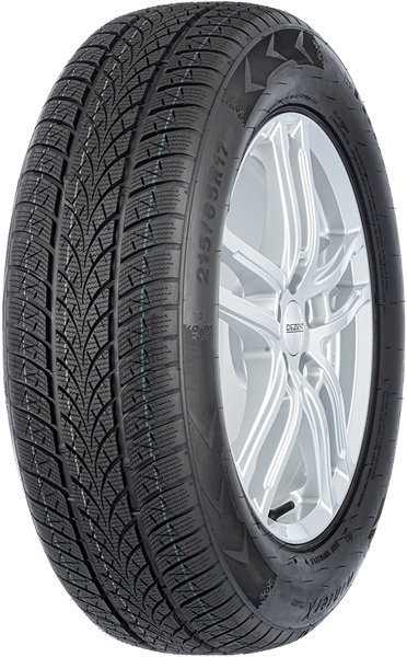 Triangle Winter X TW401 195/65 R15 91 H