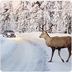 Goodyear UltraGrip 8