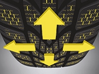 Dunlop Winter Sport 4d