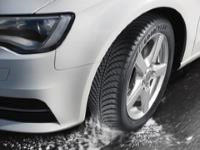 Goodyear Vector 4Seasons G2