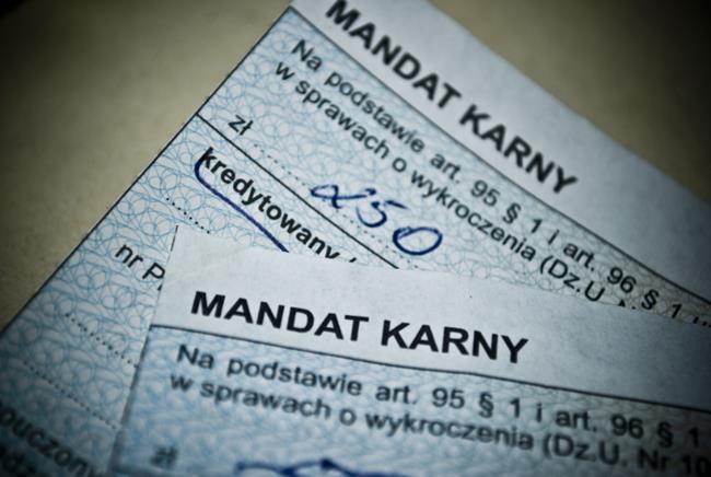 mandat karny
