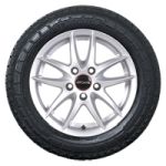Michelin Agilis CrossClimate Michelin Agilis CrossClimate