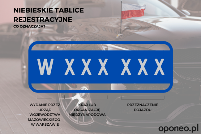 grafika wyjaśniająca poszczególne oznaczenia umieszczone na niebieskiej tablicy rejestracyjnej