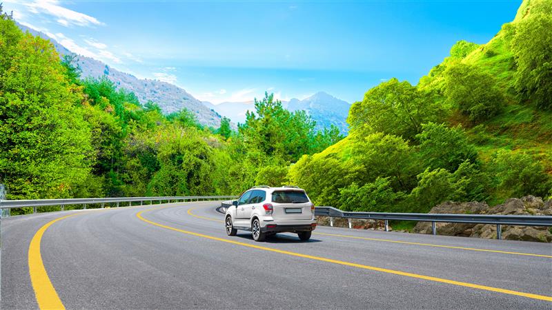Samochód jadący na drodze pośród drzew, w tle widać góry