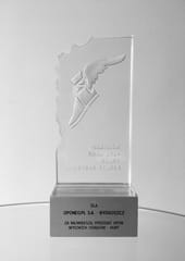 Nagroda Roku 2014 Grupy Goodyear Polska