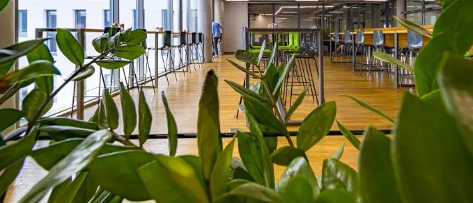 Teren zielony przy siedzibie Oponeo