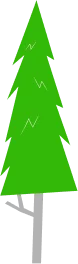 drzewo