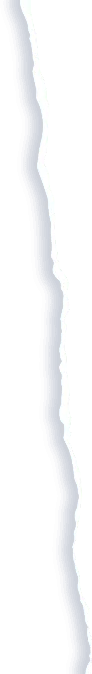 Rysa