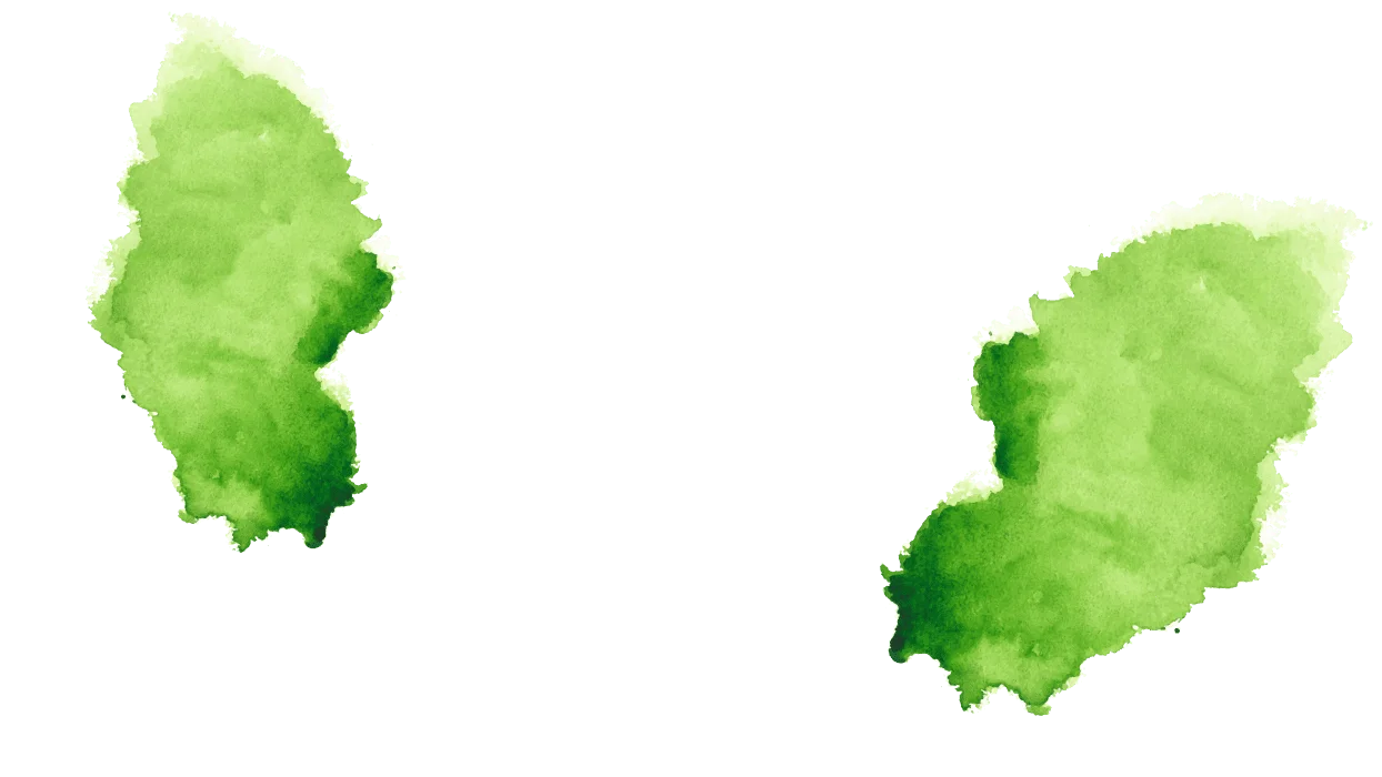 Rośinność tła