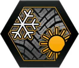 Adaptacyjny wzór bieżnika