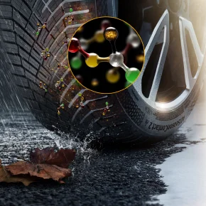 Dla tych, którzy liczą na całoroczne bezpieczeństwo