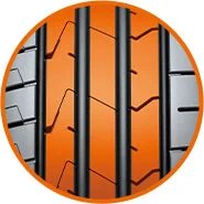 Zebrowy typ bieznika