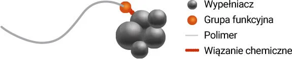 Zastosowanie polimerow funkcyjnych