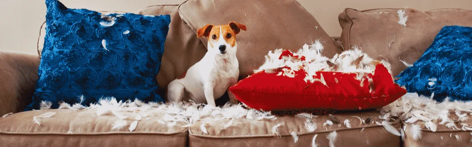 Program Kleber TRUST to 100% satysfakcji lub możliwość zwrotu zakupionych opon w ciągu 30 dni od daty odbioru i zwrot pieniędzy za każdą oponę.