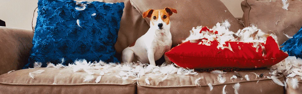 Życie jest pełne niespodzianek, nasze opony nie.