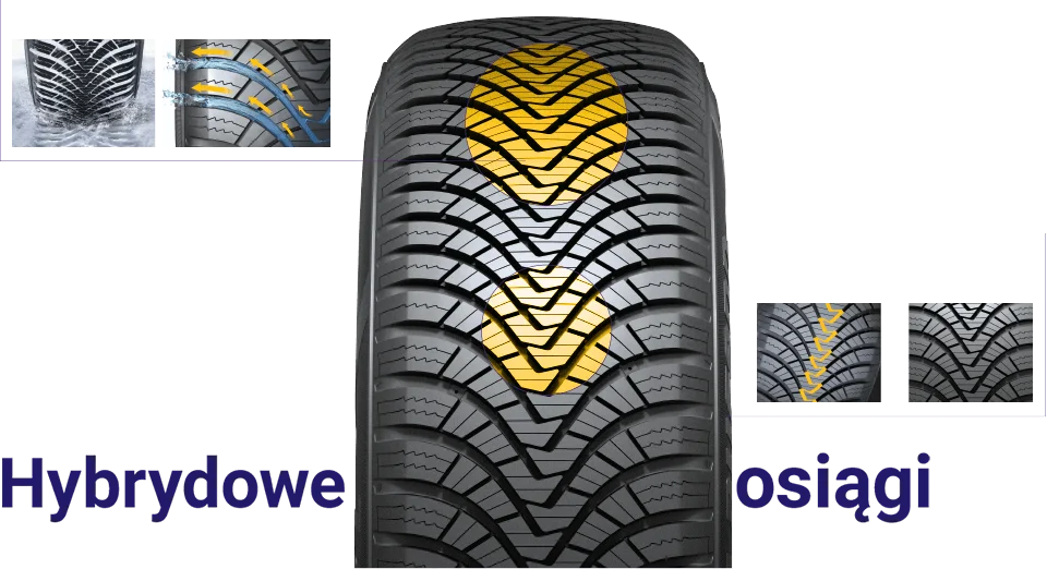 Najważniejsze cechy