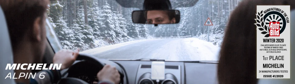 Michelin Alpin 6