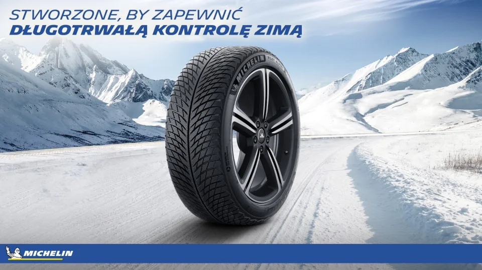 Michelin Pilot Alpin 5