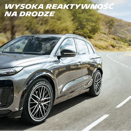 Wysoka reaktywność na drodze