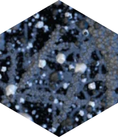 Technologie EverGrip