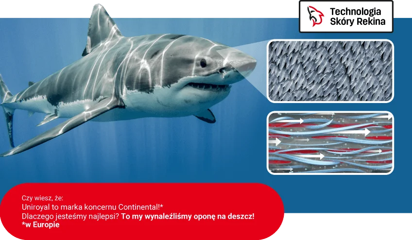 Technologia skóry rekina