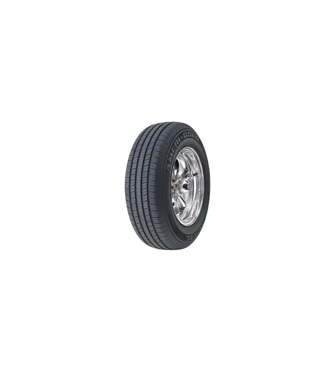 AMERI-GS60