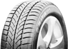 PlatinWinter RP 30195/65R15