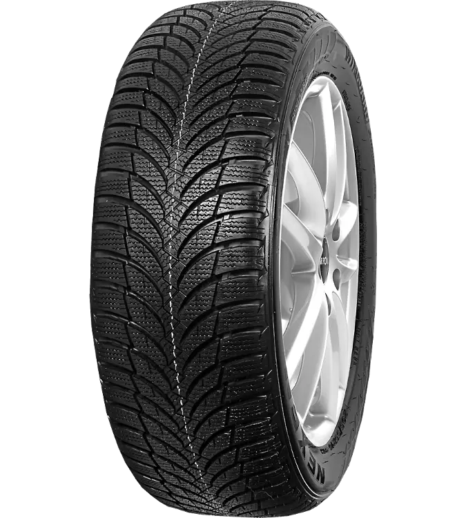 Nexen Winguard Snow'G WH2 195/65 R15 91 H