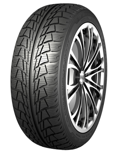 Nankang Snow Viva 205/50 R17 93 T Soft Compound