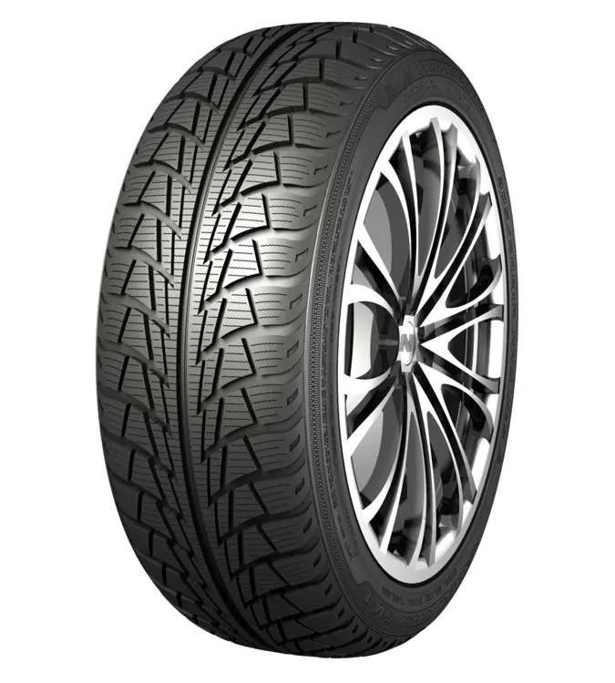 Nankang Snow Viva 175/60 R15 81 H Soft Compound