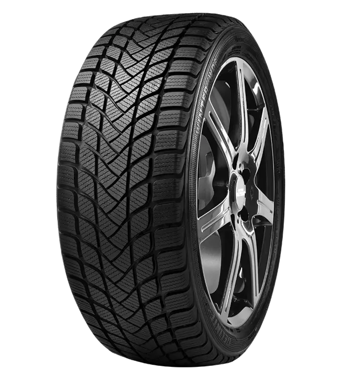Delinte WD6 205/55 R17 95 H