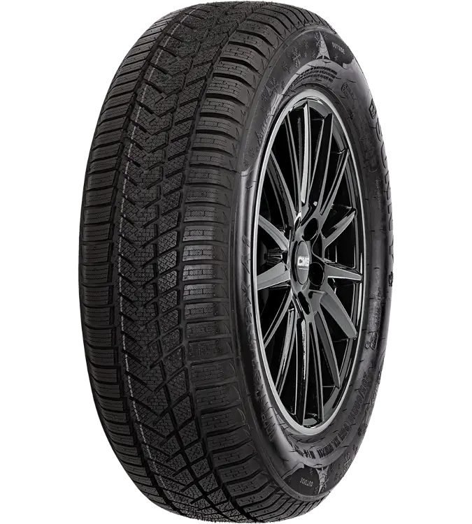 Sunny Wintermaxx NW211 225/40 R18 92 V XL
