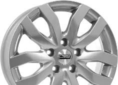 CMS C22