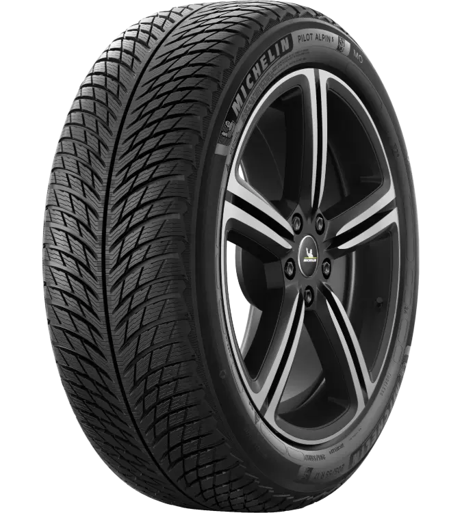 Michelin Pilot Alpin 5 205/55 R17 91 H MO
