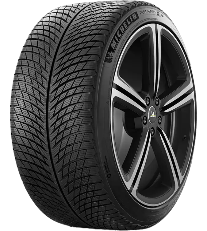 Michelin Pilot Alpin 5 295/35 R20 105 W XL, MO1