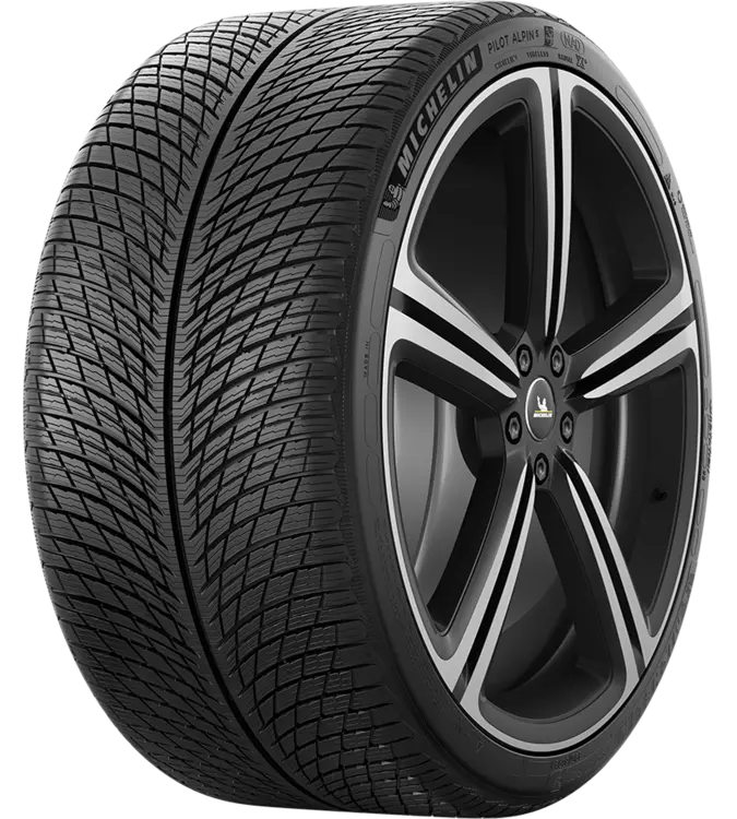 Michelin Pilot Alpin 5 295/30 R21 102 V XL, NA0