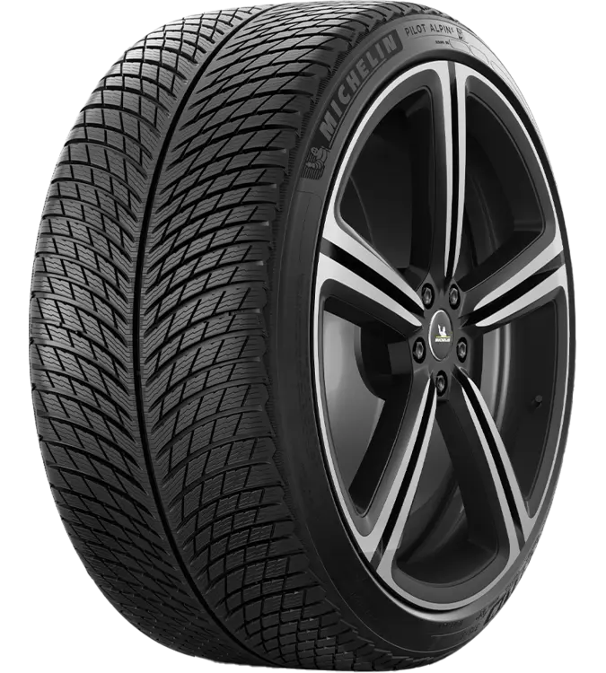 Michelin Pilot Alpin 5 315/30 R21 105 V XL