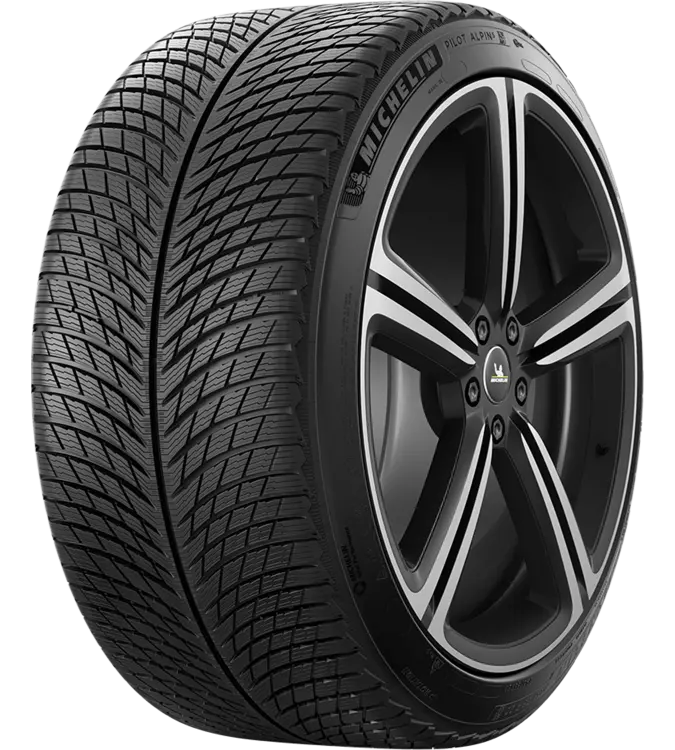 Michelin Pilot Alpin 5 295/35 R20 105 W XL, MO1A
