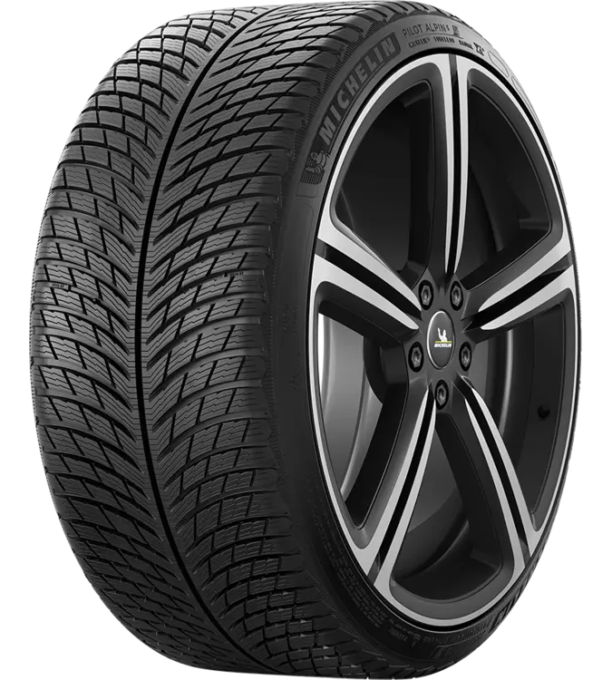 Michelin Pilot Alpin 5 255/30 R19 91 W XL