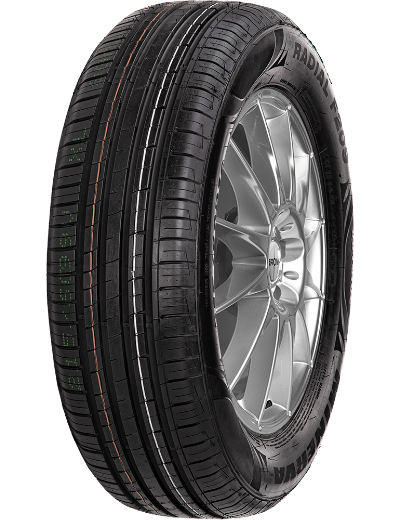 Minerva F209 205/55 R16 94 V XL