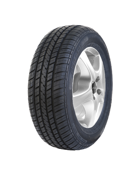 Fortune FSR301