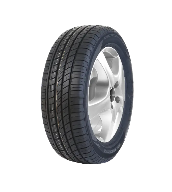 Fortune FSR303 225/50 R18 99 W