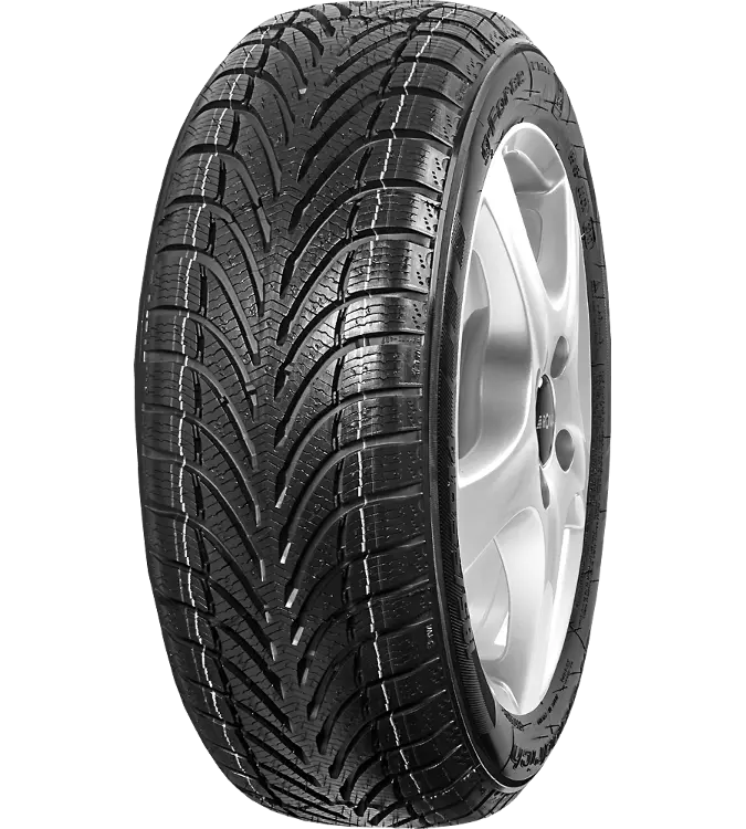 G-Force Winter