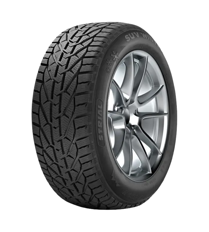 Winter SUV